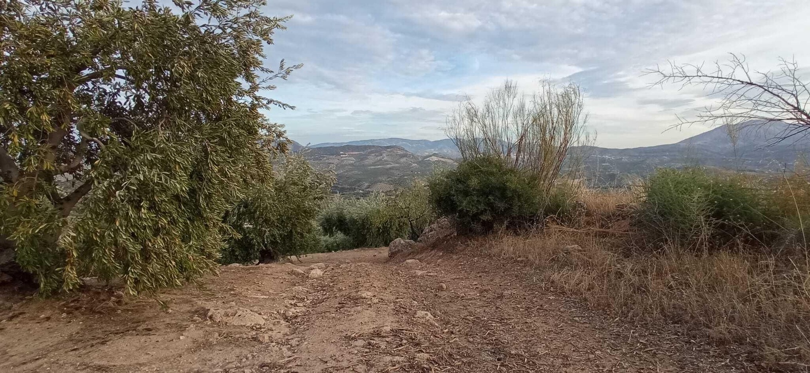 Las imágenes de la Ruta Zagrilla Baja - Esparragal - Zagrilla Baja