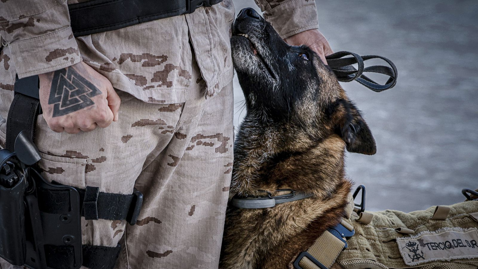 Las imágenes de la celebración del 489º Aniversario de la Infantería de Marina en Cádiz