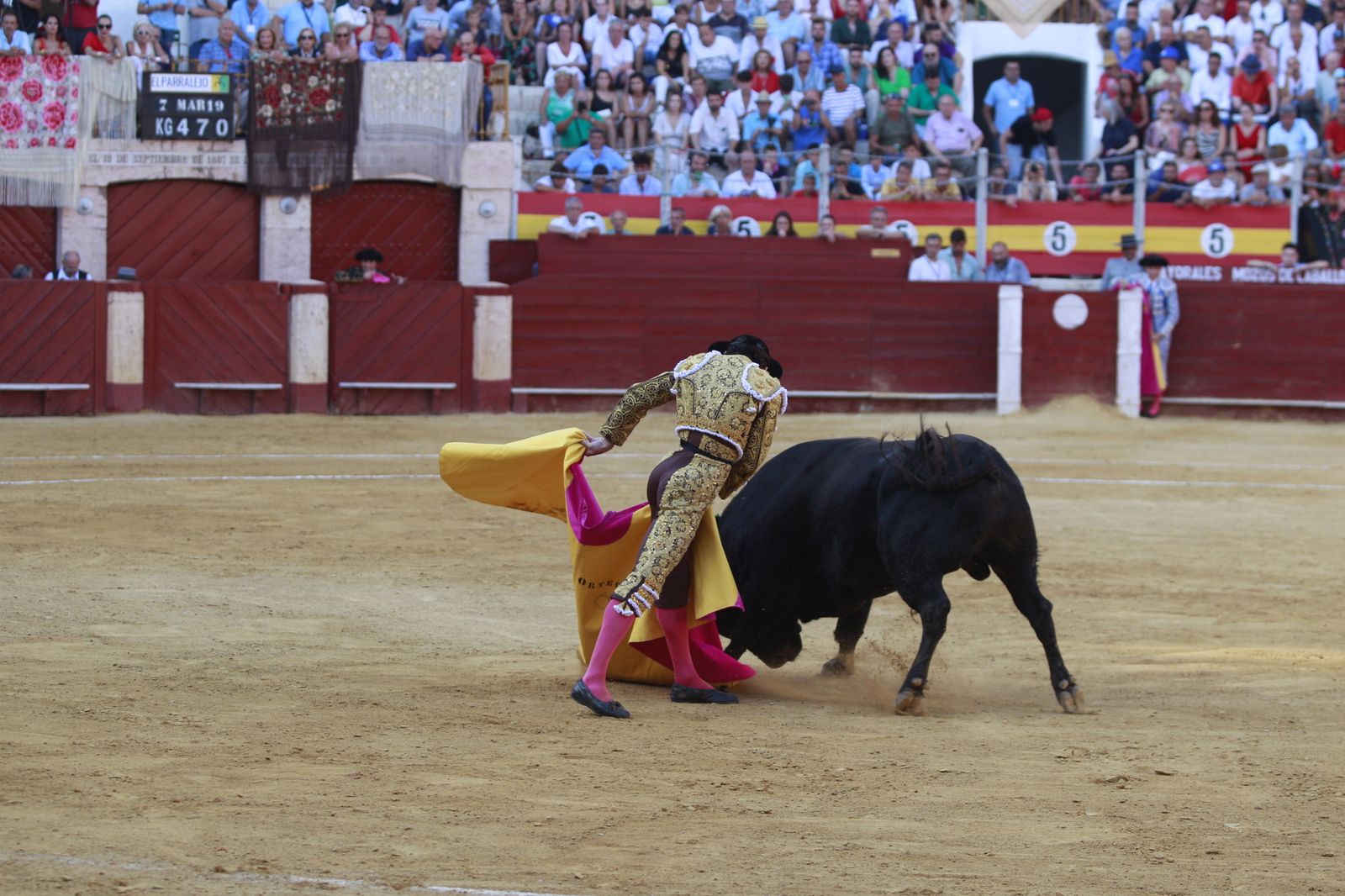 Imágenes del triunfo del torero almeriense Jorge Martínez el día de su alternativa