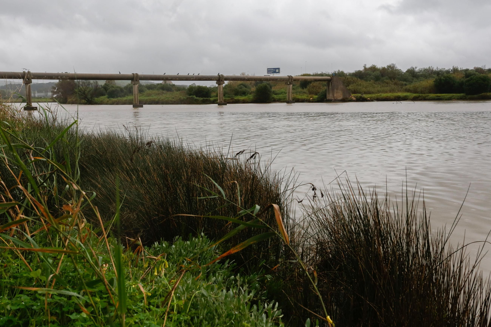Fotos de los ríos del Campo de Gibraltar tras las últimas lluvias