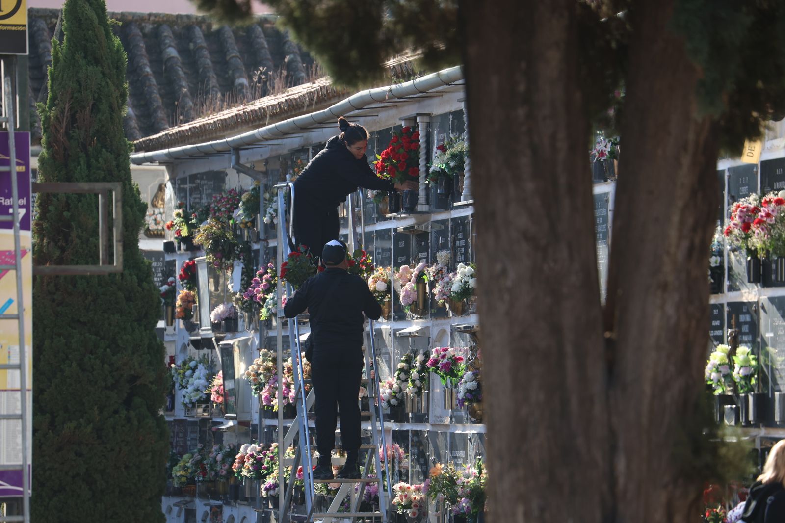 Las imágenes del día de Todos los Santos en el cementerio de San Rafael de Córdoba