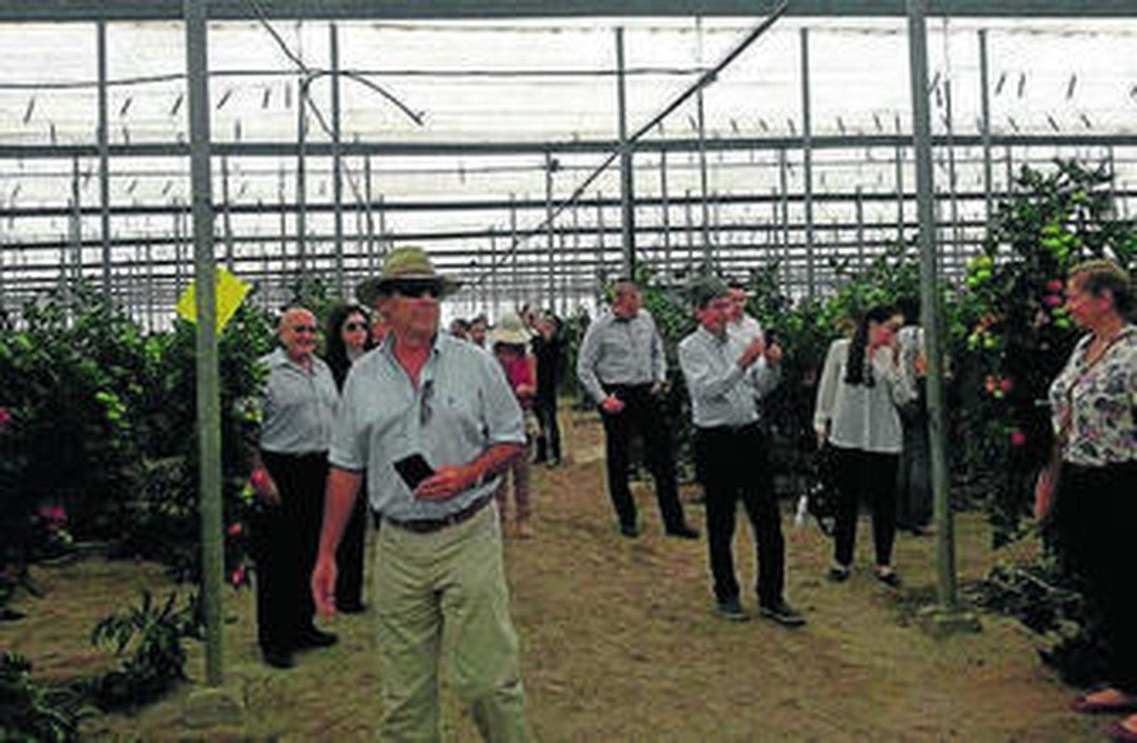 Visita de los importadores a un invernadero del poniente almeriense.