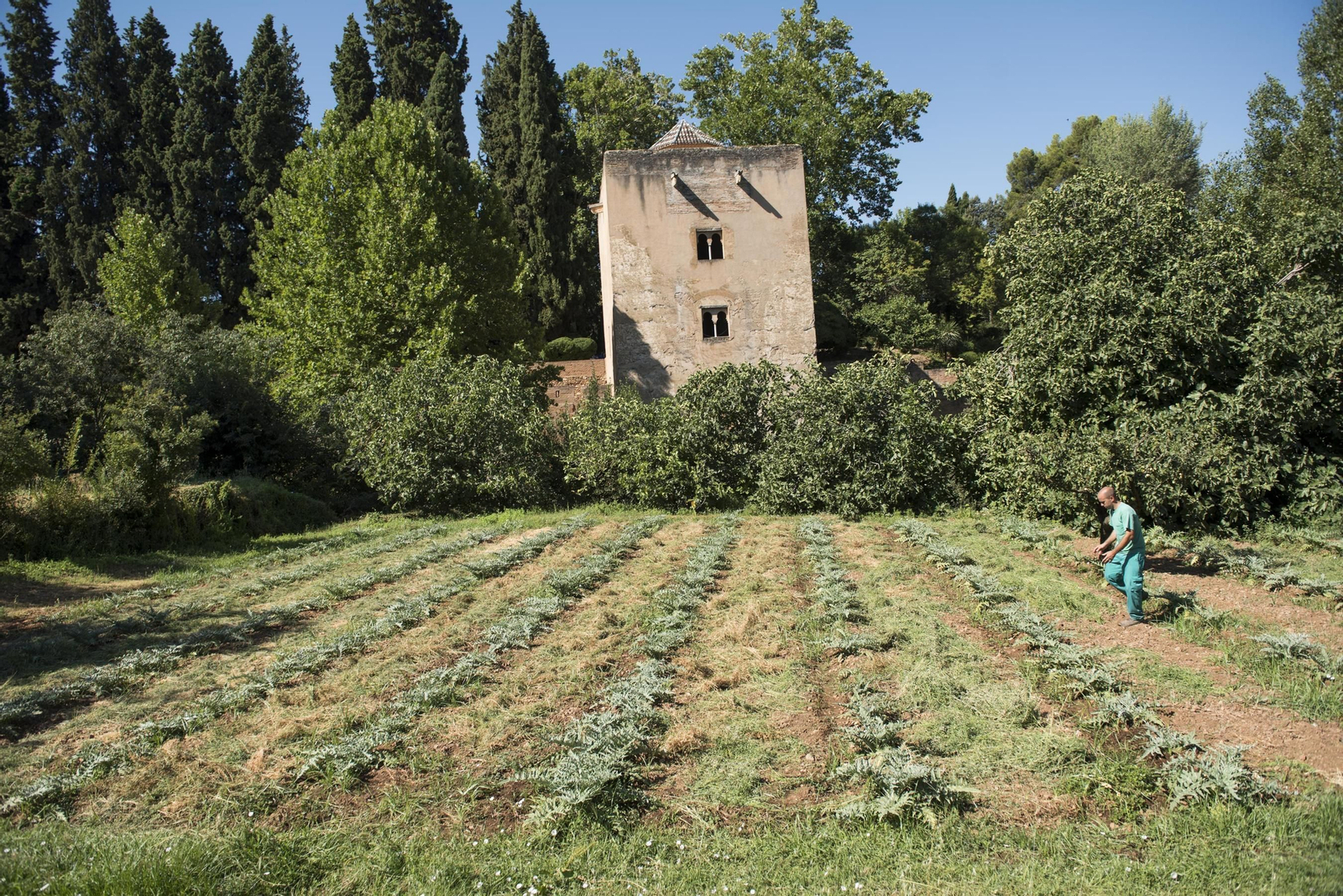 Varios premios nacionales de Literatura y Crítica recordarán como se gestó el soneto del Generalife
