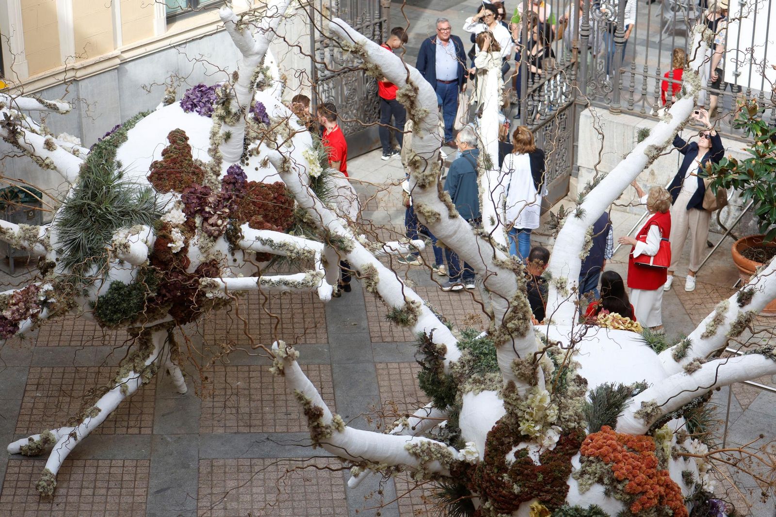 Las últimas horas para visitar las instalaciones de Flora en Córdoba, en imágenes