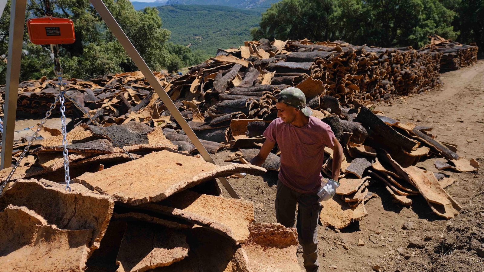 Jonatán trabaja en el patio de pesaje y almacenamiento.
