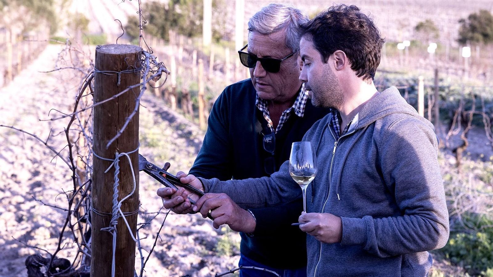 José Manuel Bustillo ayuda a uno de los asistentes durante la poda simbólica a pie de viña.