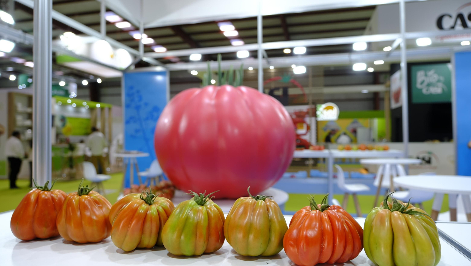 Las imágenes del primer día de Expolevante Níjar 2024