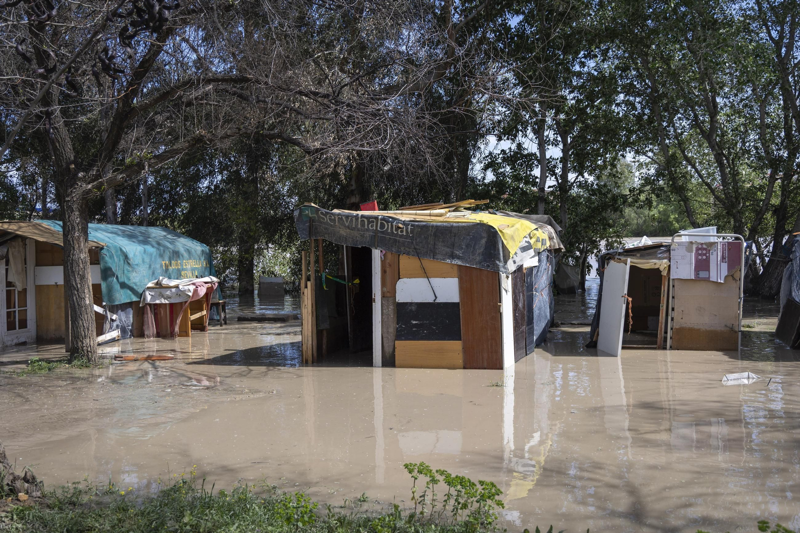 Las imágenes de la inundación del poblado chabolista junto a la orilla del Guadalquivir