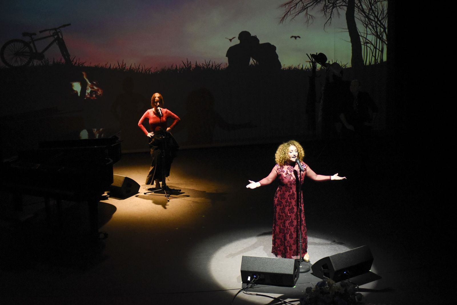 Las fotos del concierto Rocío a Rocío de Natalia Vivero en La Línea