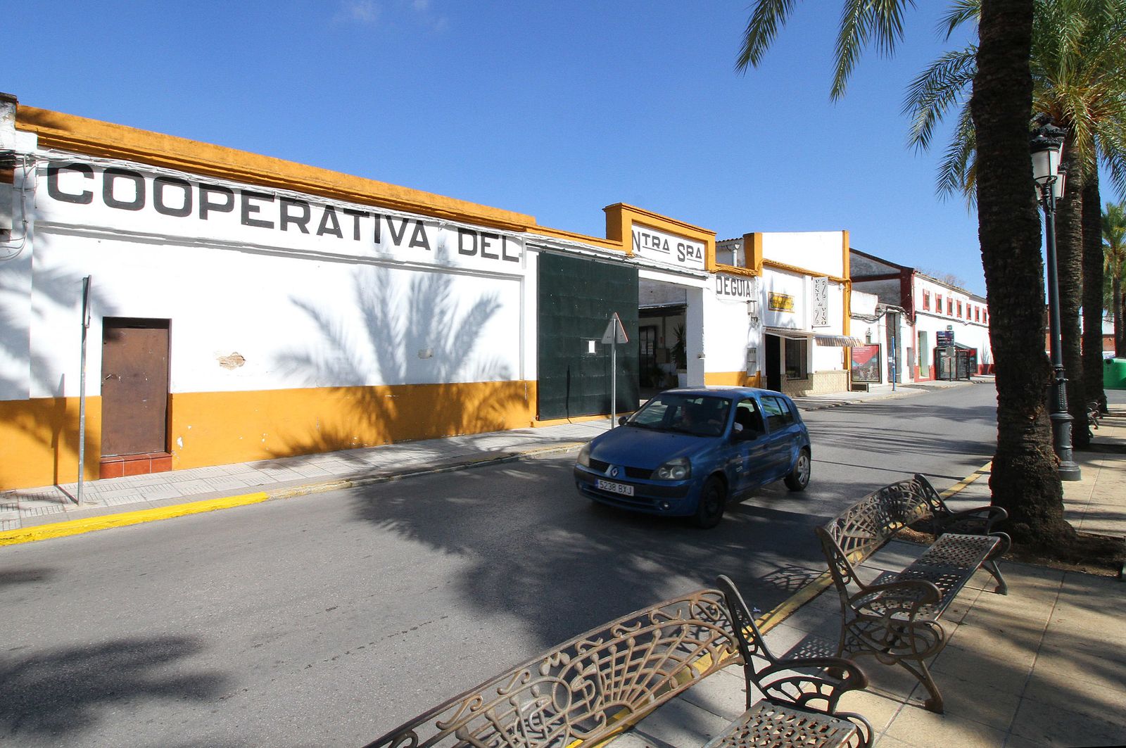 Imágenes de la vendimia en el Condado de Huelva.