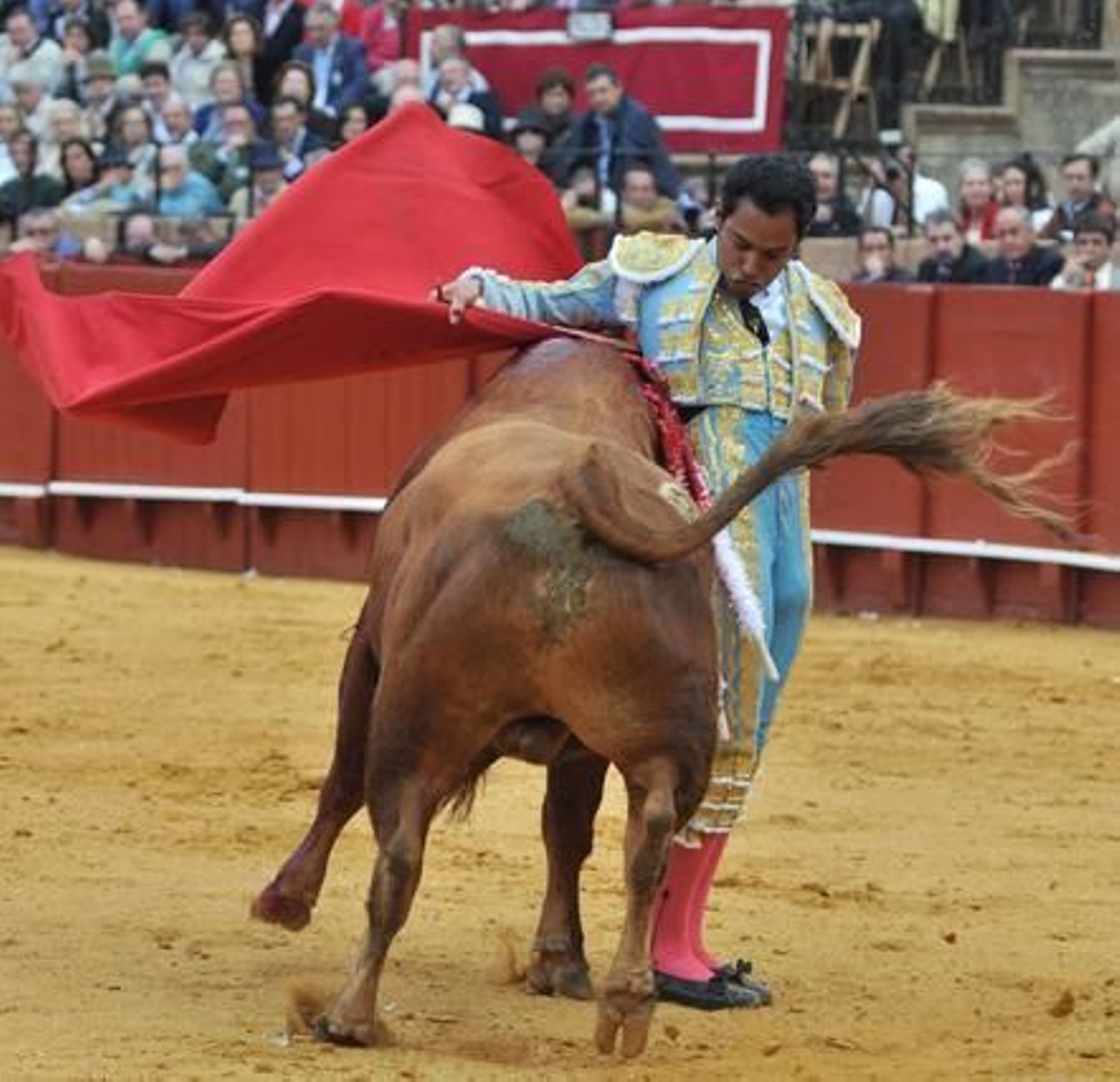 Luis Bolívar se arriesgó con un muletazo a la espalda.

Foto: Manuel Gómez