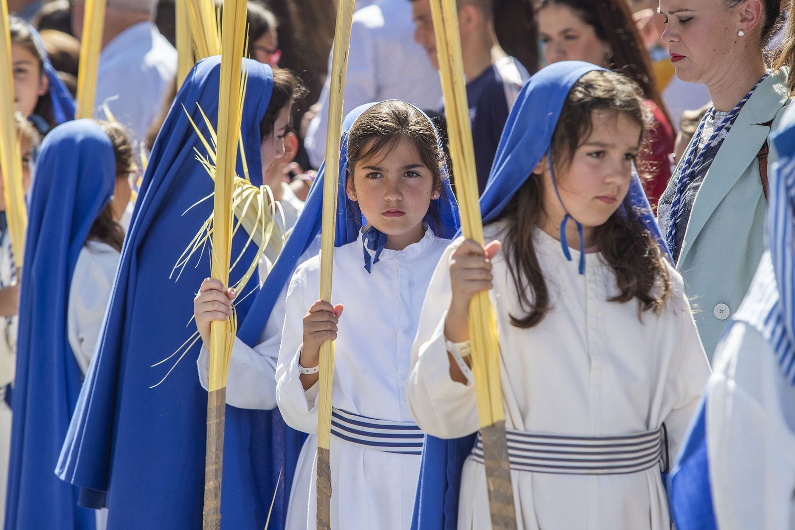 Imágenes para recordar el Domingo de Ramos en San Fernando