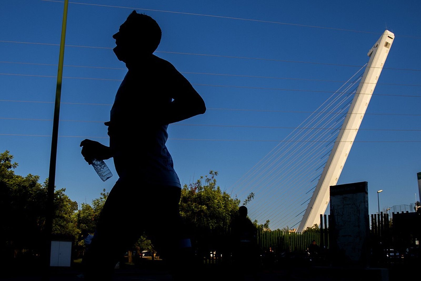 La Carrera Nocturna del Alamillo se celebrará en la noche del 24 de junio a partir de las 21:45.