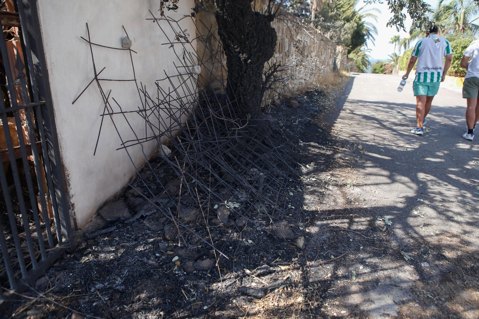 Las fotos de los efectos del incendio forestal en la Sierra de la Plata y Atlanterra, en Tarifa
