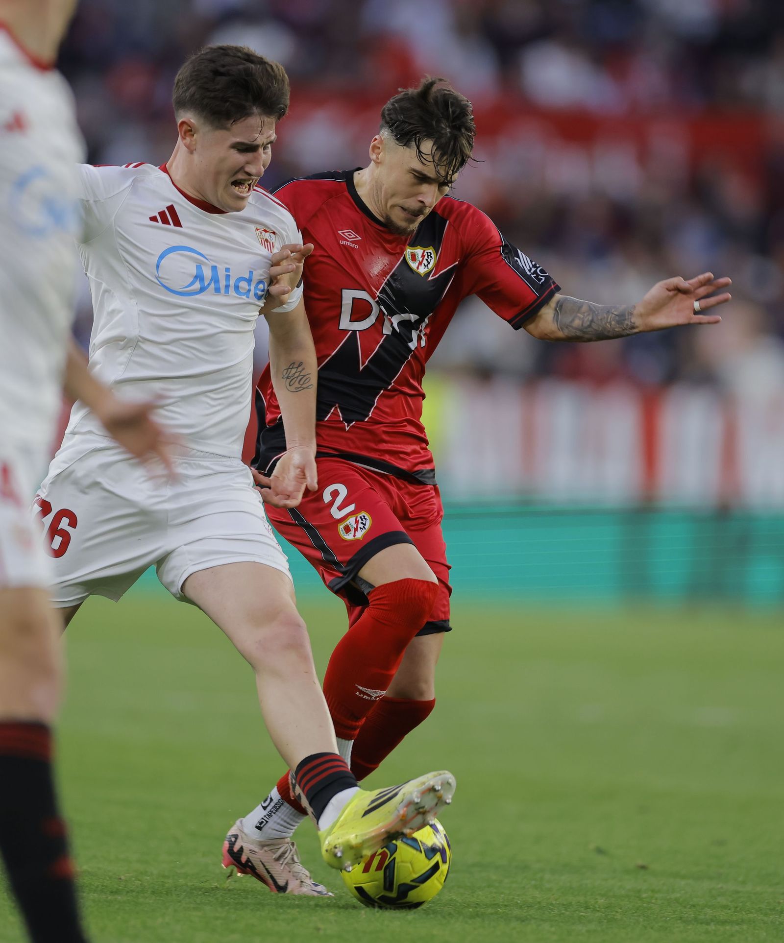 Las fotos del Sevilla FC - Rayo