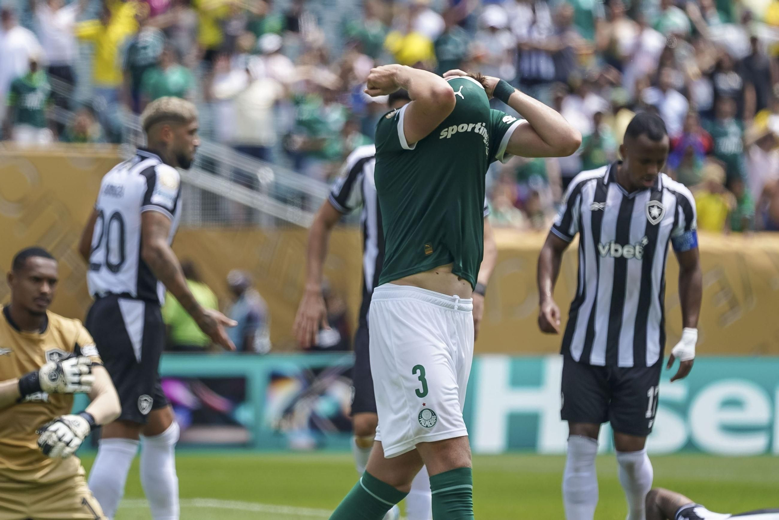 Palmeiras-Botafogo (11).jpg