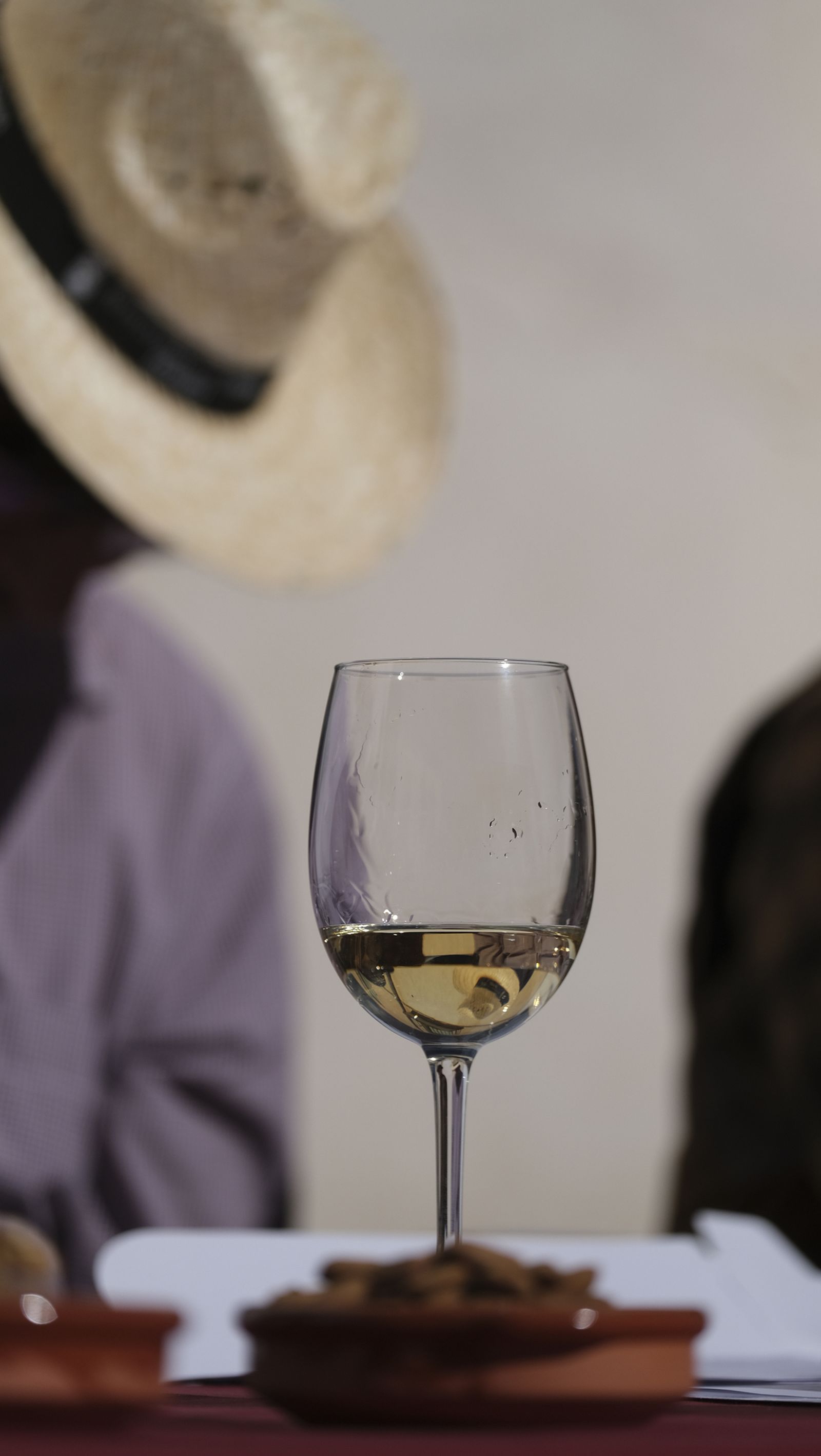 Imágenes del Certamen de Mostos de Fiñana