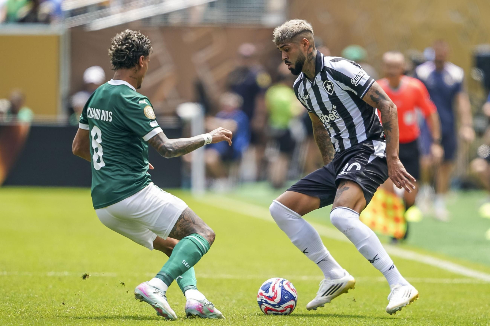 Palmeiras-Botafogo (18).jpg