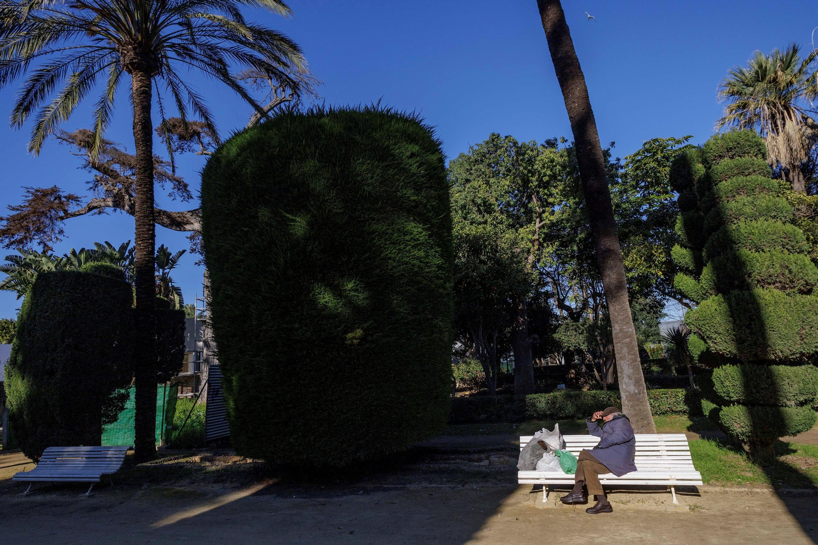 Imágenes del mal estado del Parque Genovés de Cádiz