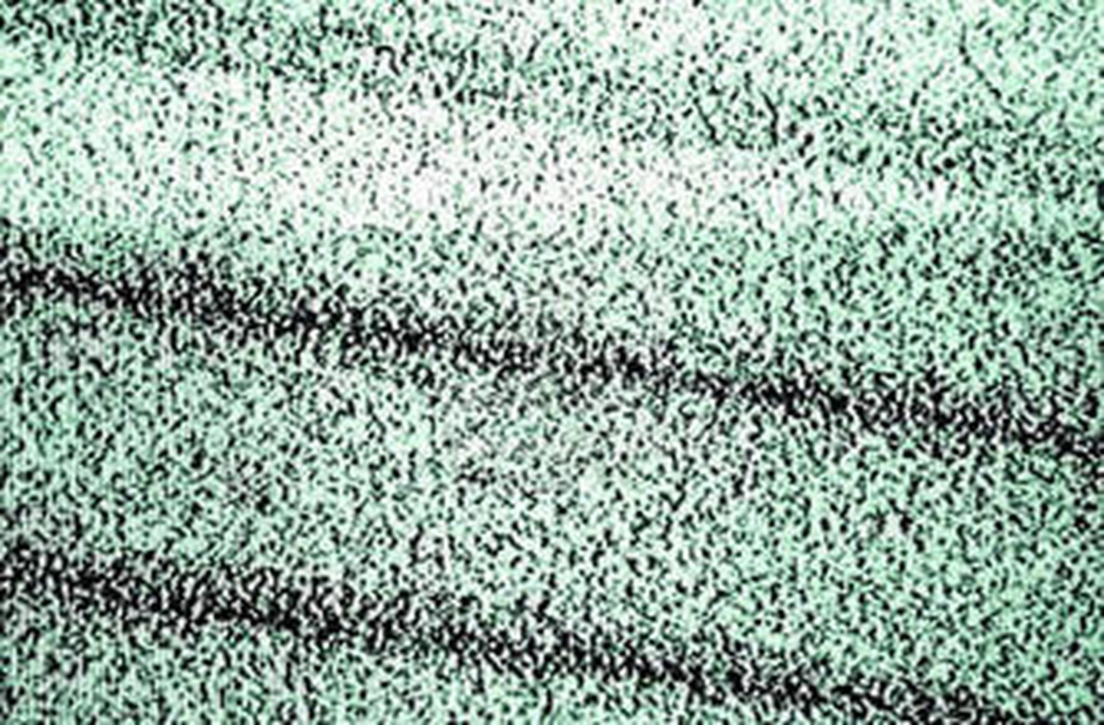 Señoras y señores disculpen esta interrupción...