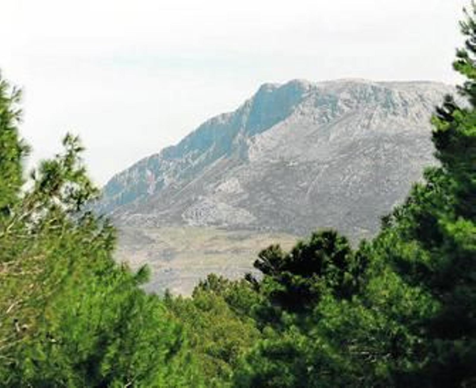 Parque natural de la Sierra de las Nieves.