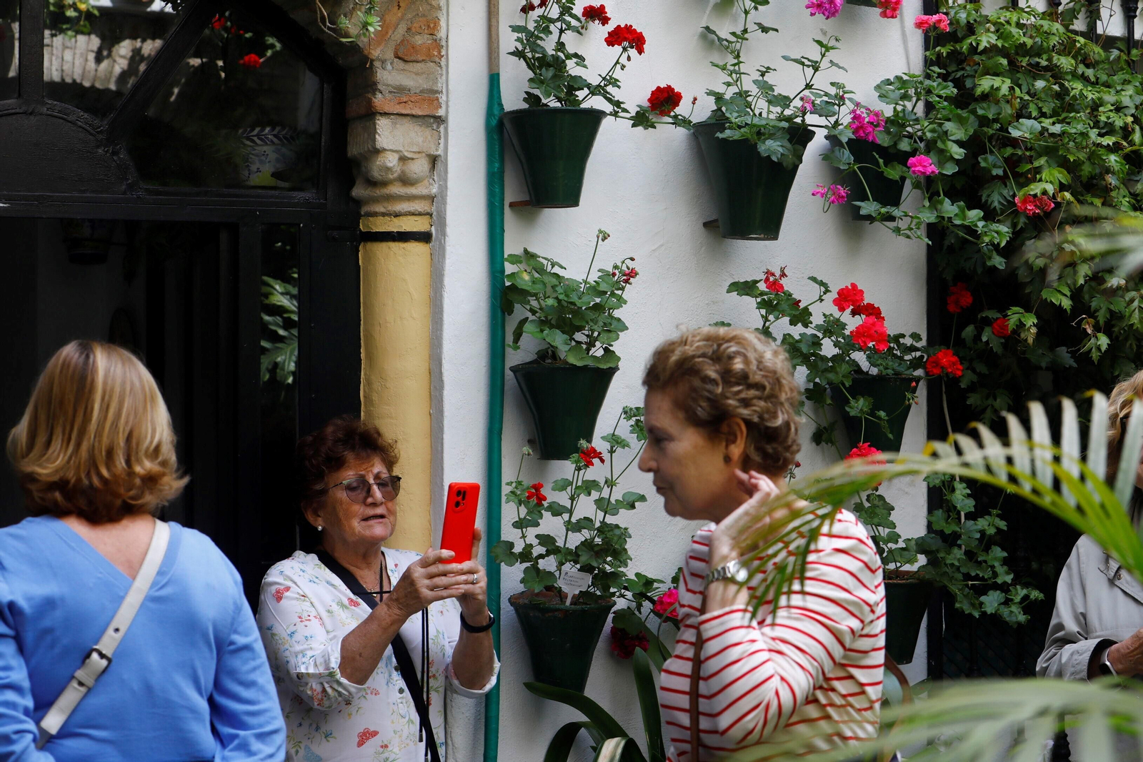 Los patios de Córdoba de la ruta Judería-San Francisco, en imágenes