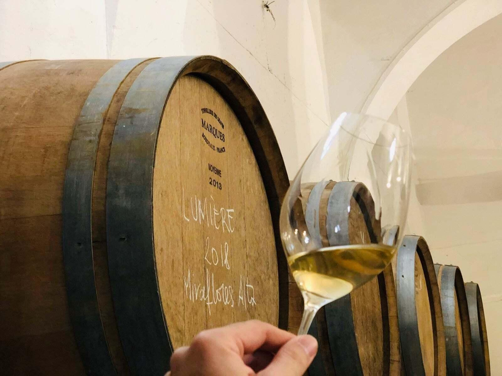 BODEGA ECOLÓGICA MUCHADA-LÉCLAPART BODEGA ECOLOGICA MUCHADA-LÉCLAPART