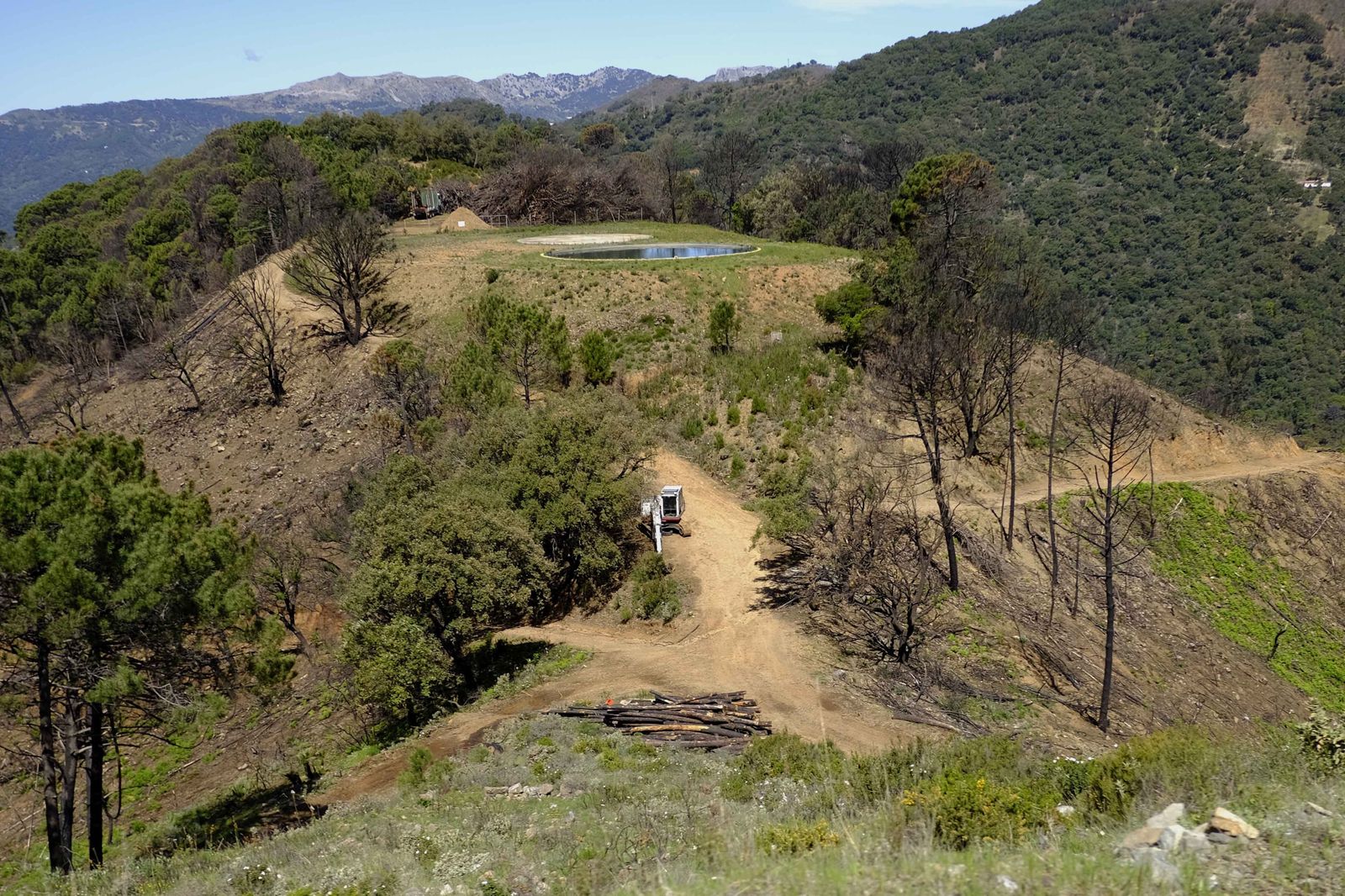Así se recupera Sierra Bermeja tras el incendio (fotos)