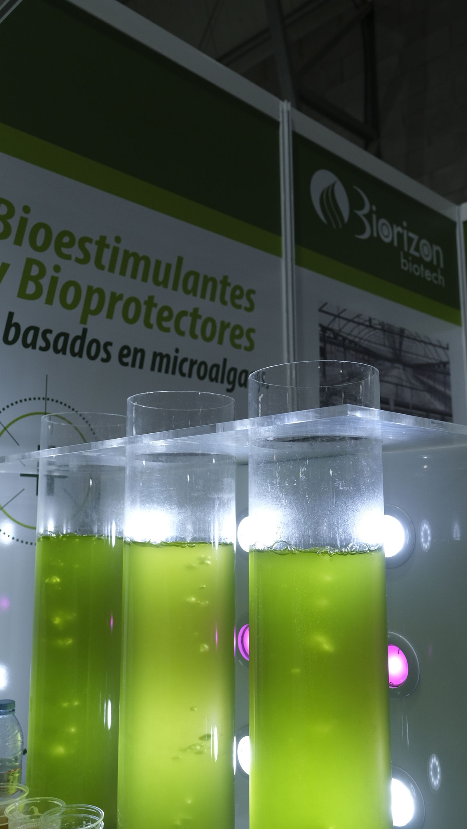 Imágenes de la Infoagro Almería 2023, en su segunda jornada