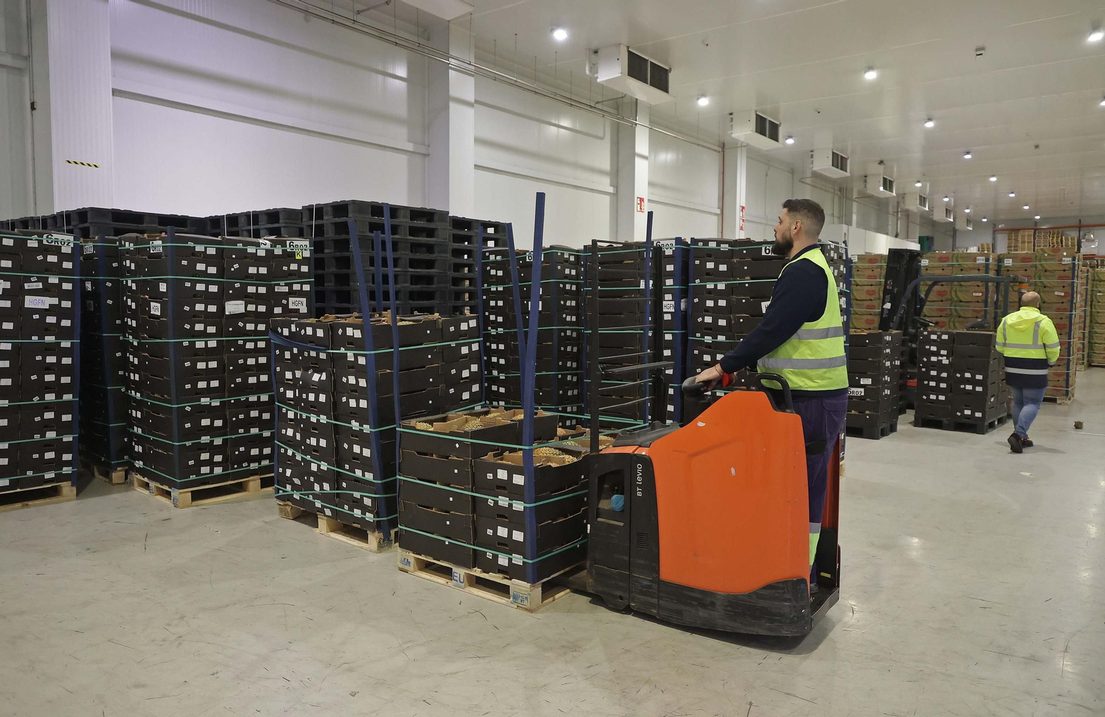 Fotos de la visita a la empresa Americold en el Puerto de Algeciras