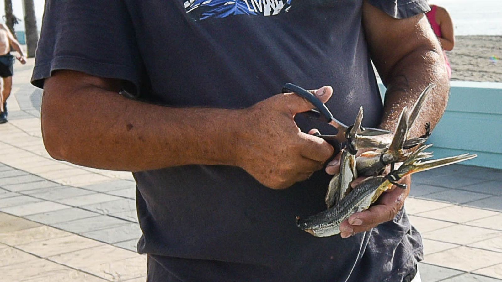 Las fotos de un puesto de Volaores