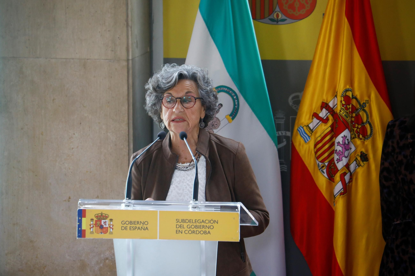 La entrega de los premios Plaza de la Constitución 2025