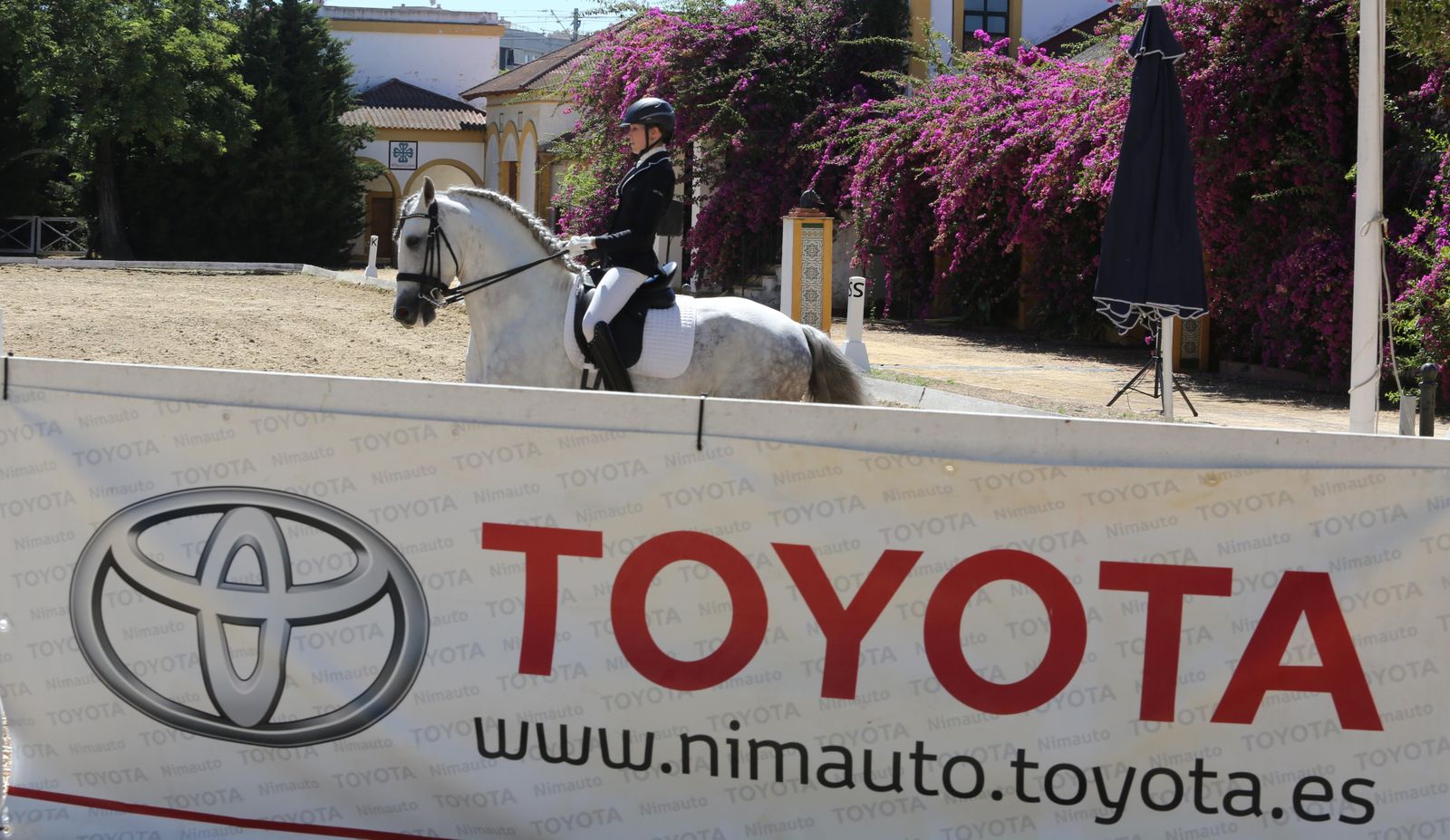 El concurso de doma reabre Sementales