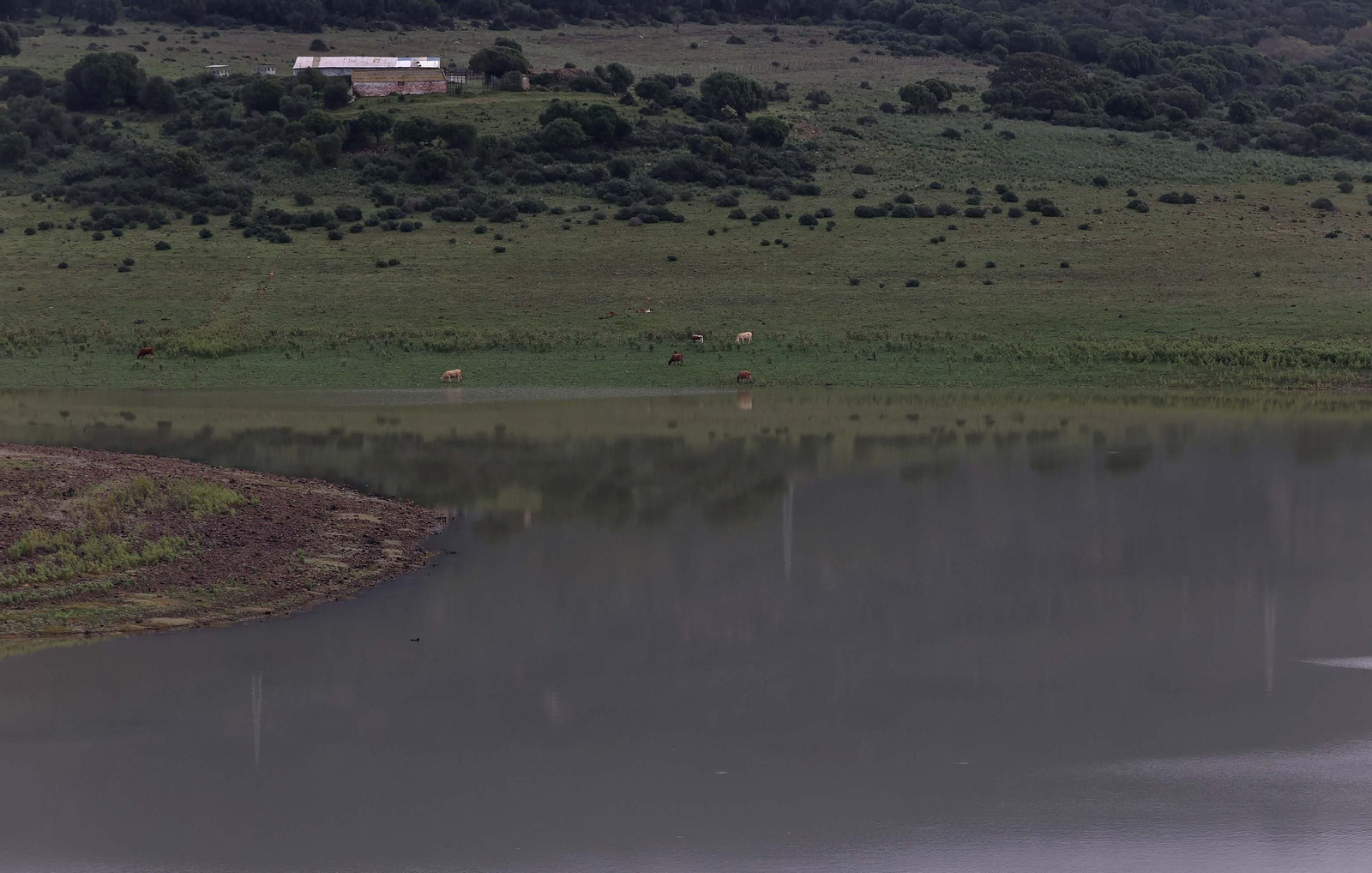 Fotos del pantano de Charco Redondo en Los Barrios