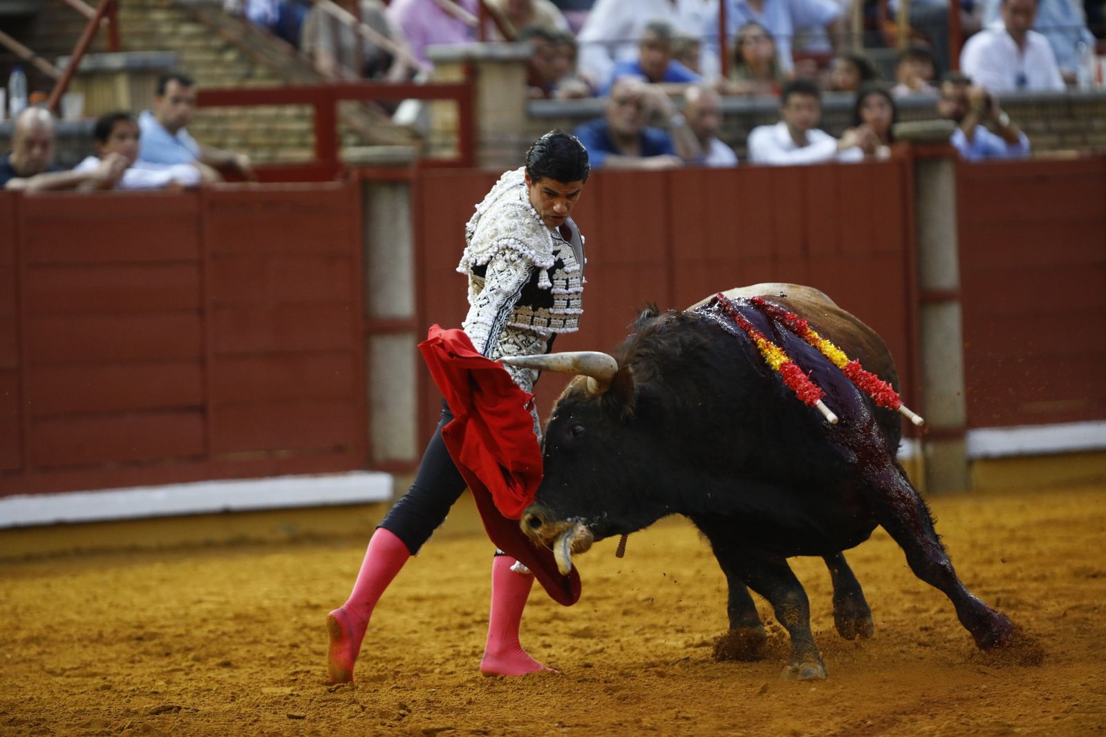 La corrida mixta de Diego Ventura, Morante de la Puebla y Pablo Aguado en Córdoba, en imágenes