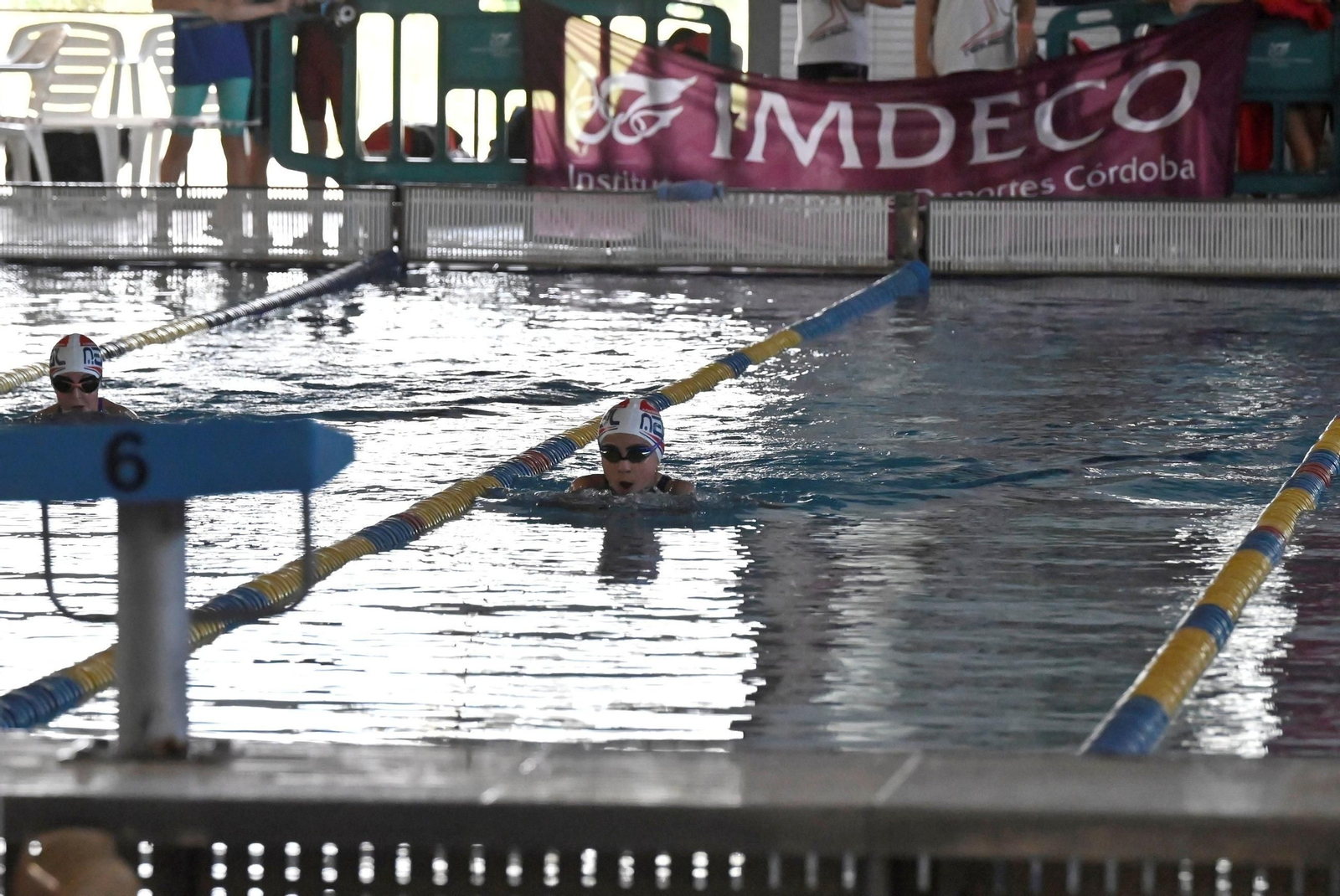 Las mejores imágenes del Torneo Ciudad de Córdoba de natación