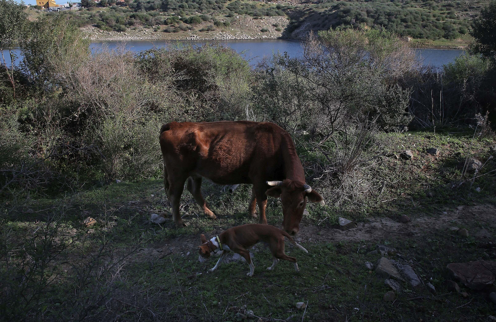 Imágenes del acuífero de la Huerta de Las Pilas en Algeciras