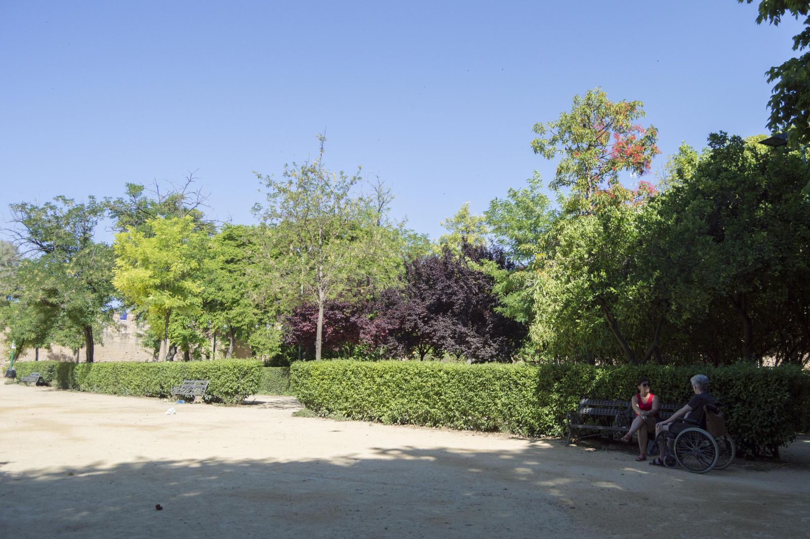 El estado de los Jardines del Valle, en imágenes