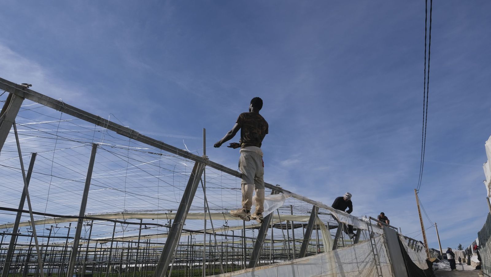 Los efectos del temporal de viento en los invernaderos, en imágenes