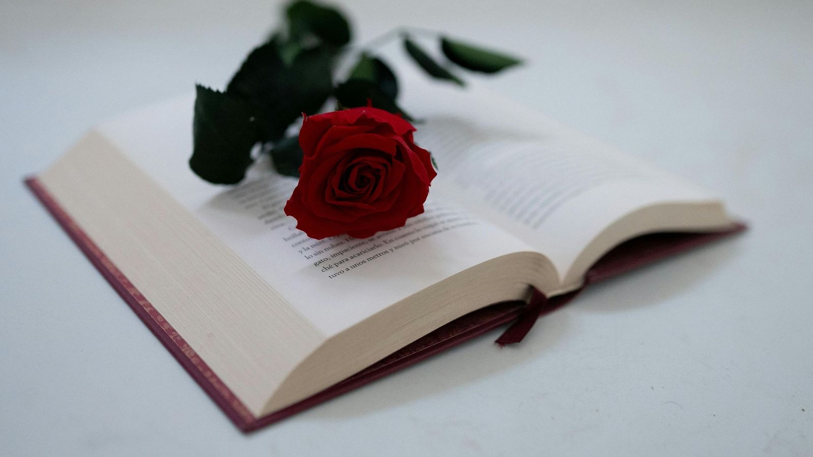 Los libros de romance más aclamados por los lectores