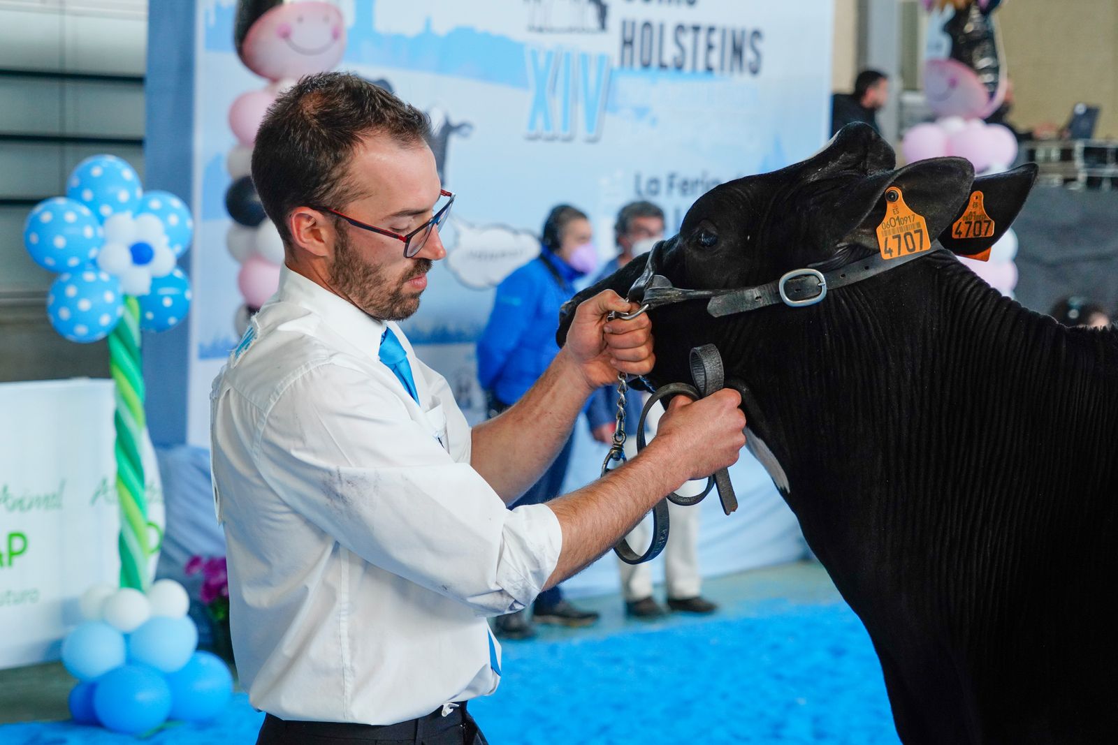 La Feria de Ganado Frisón Usías Holsteins de Dos Torres, en fotografías