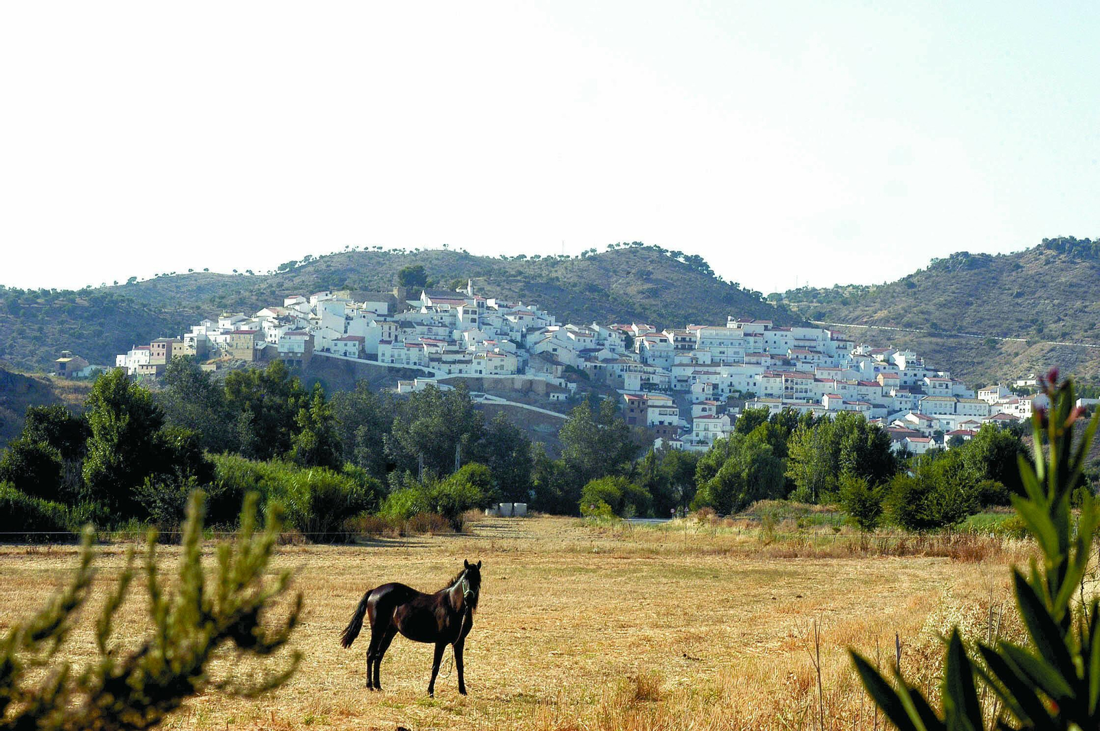 Una vista de Torre Alháquime