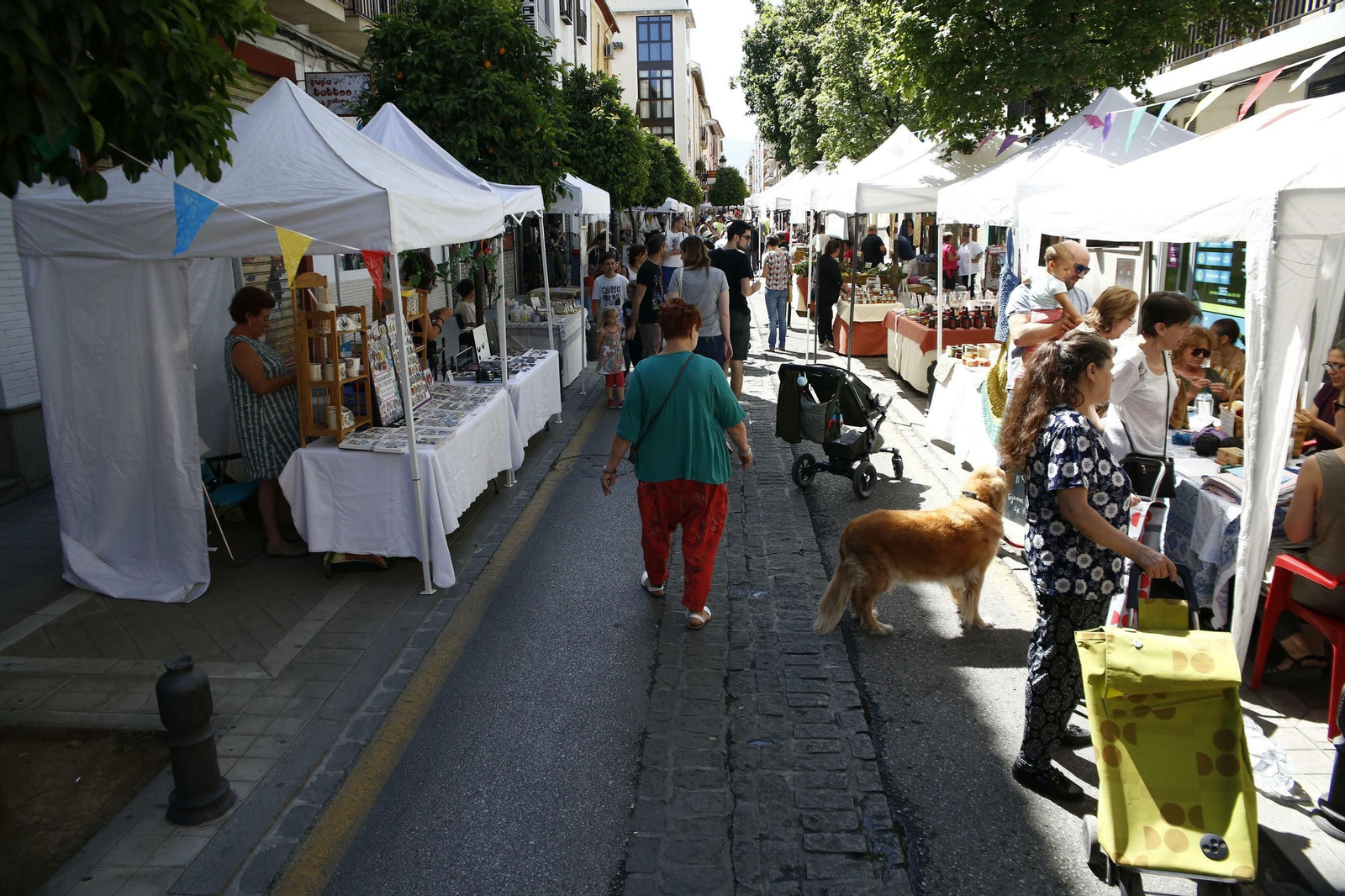 Segunda edición de ‘Vive tu calle’ en el Realejo.