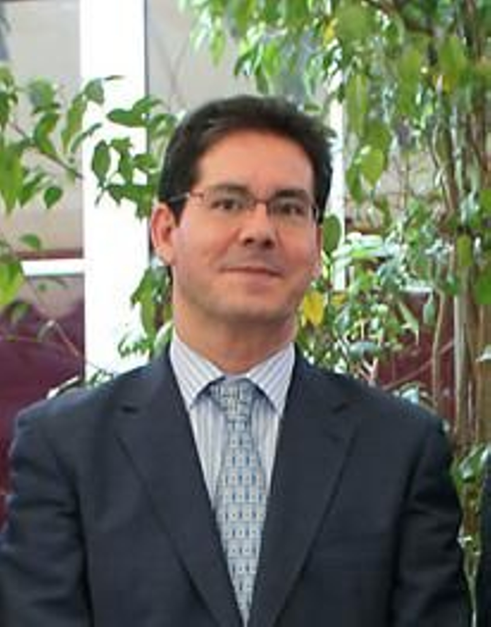 Pedro Izquierdo, presidente de la Sección Primera de la Audiencia de Sevilla.