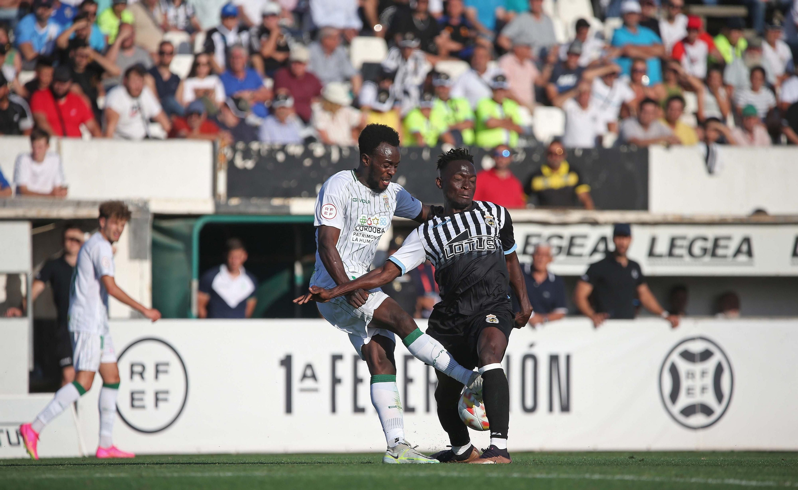 Las mejores fotos del Balona - Córdoba
