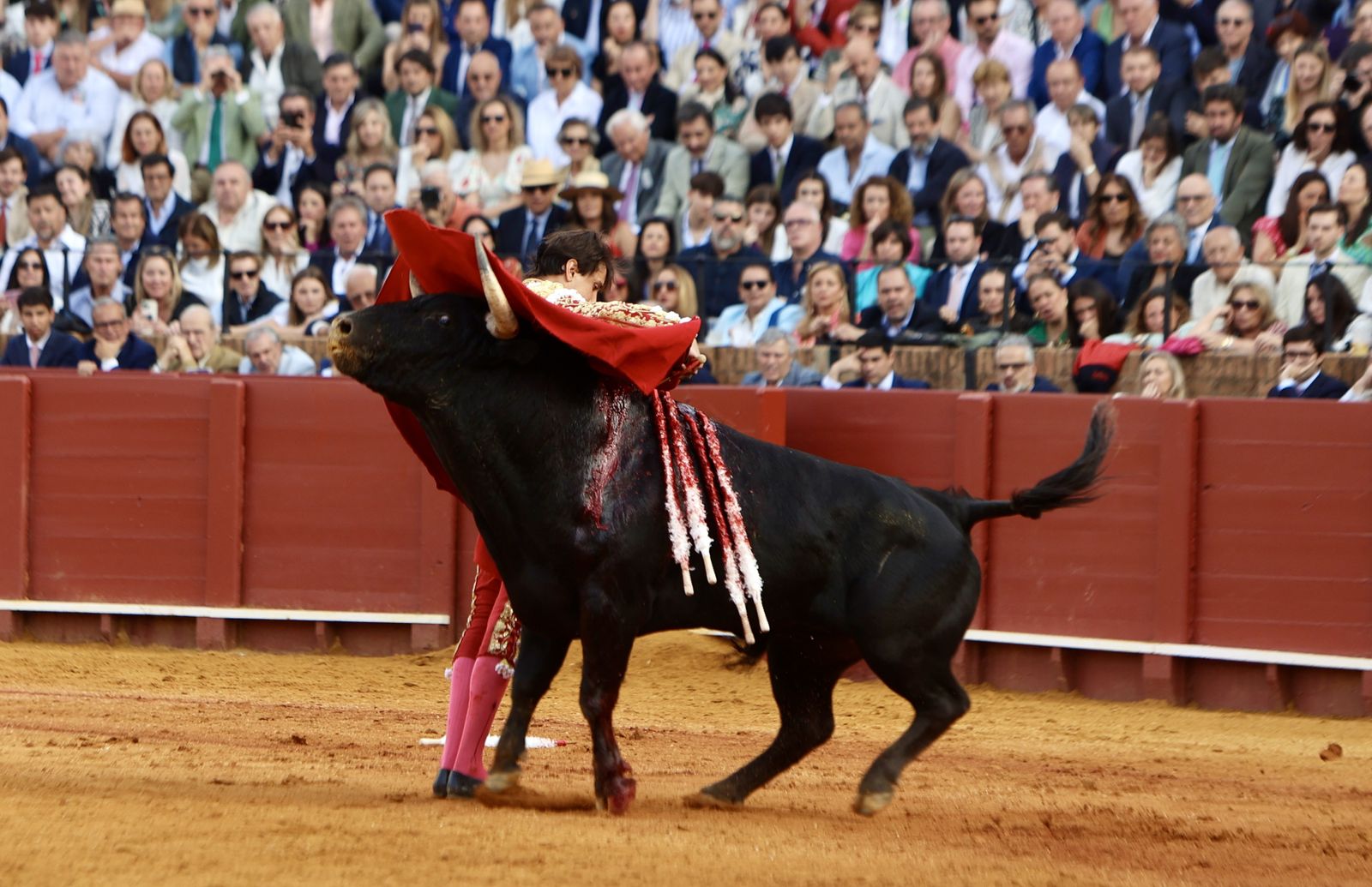 Las mejores imágenes de la corrida de toros de Juan Ortega, Roca Rey y Pablo Aguado