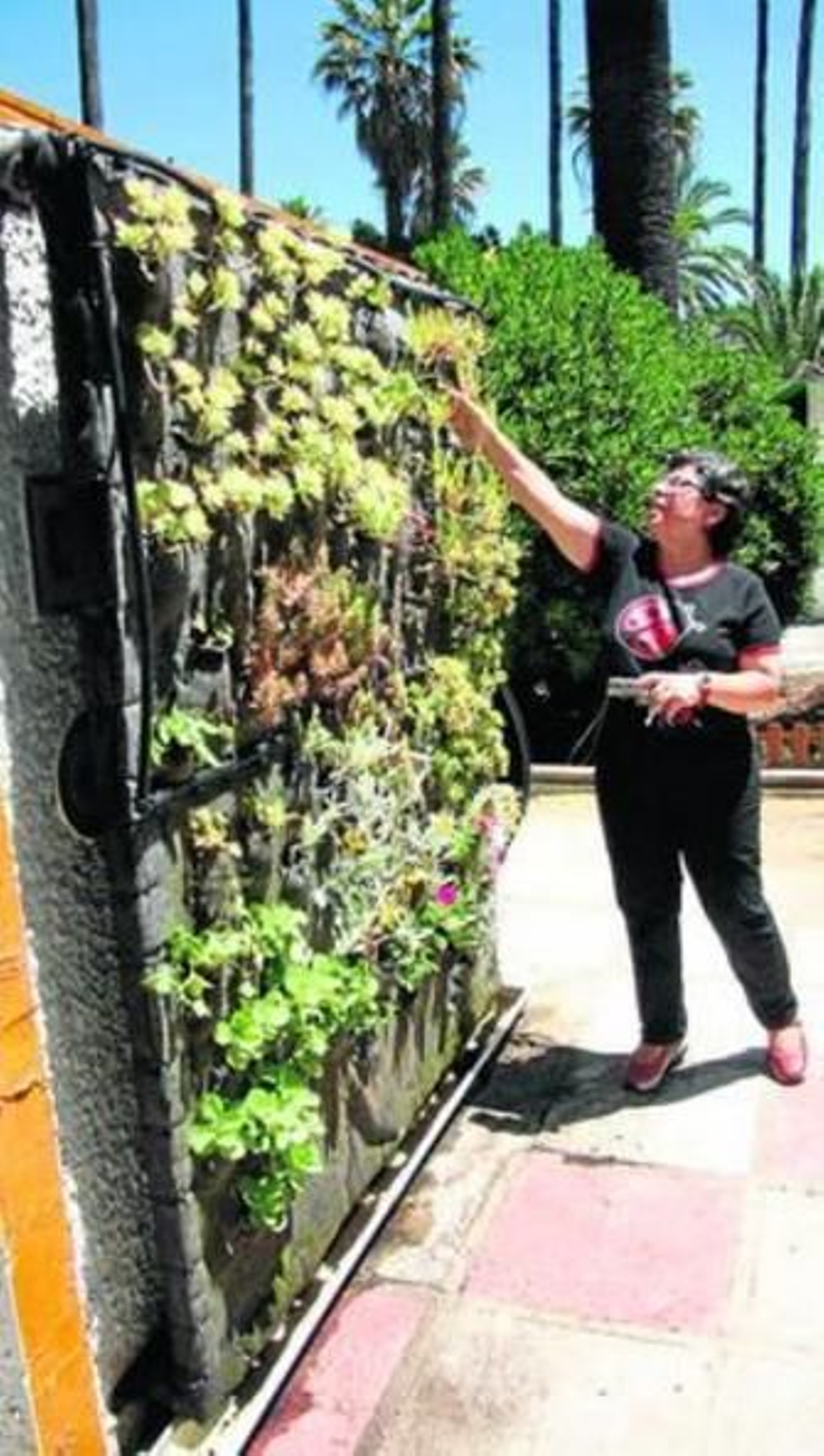 1. Jardín vertical sobre una de las antiguas atracciones. 2. Huerto. 3. Autoridades y personal de Forja XXI ante los habitáculos para la fauna.