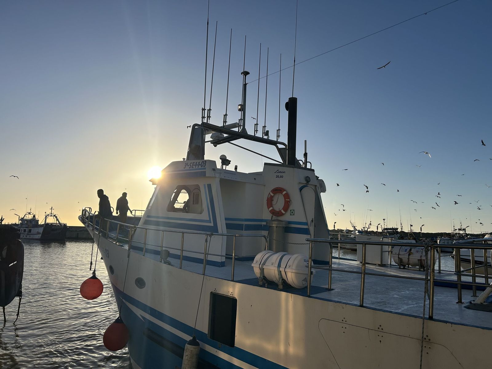 Una embarcación de arrastre sale del puerto tras descargar en la lonja de Bonanza.