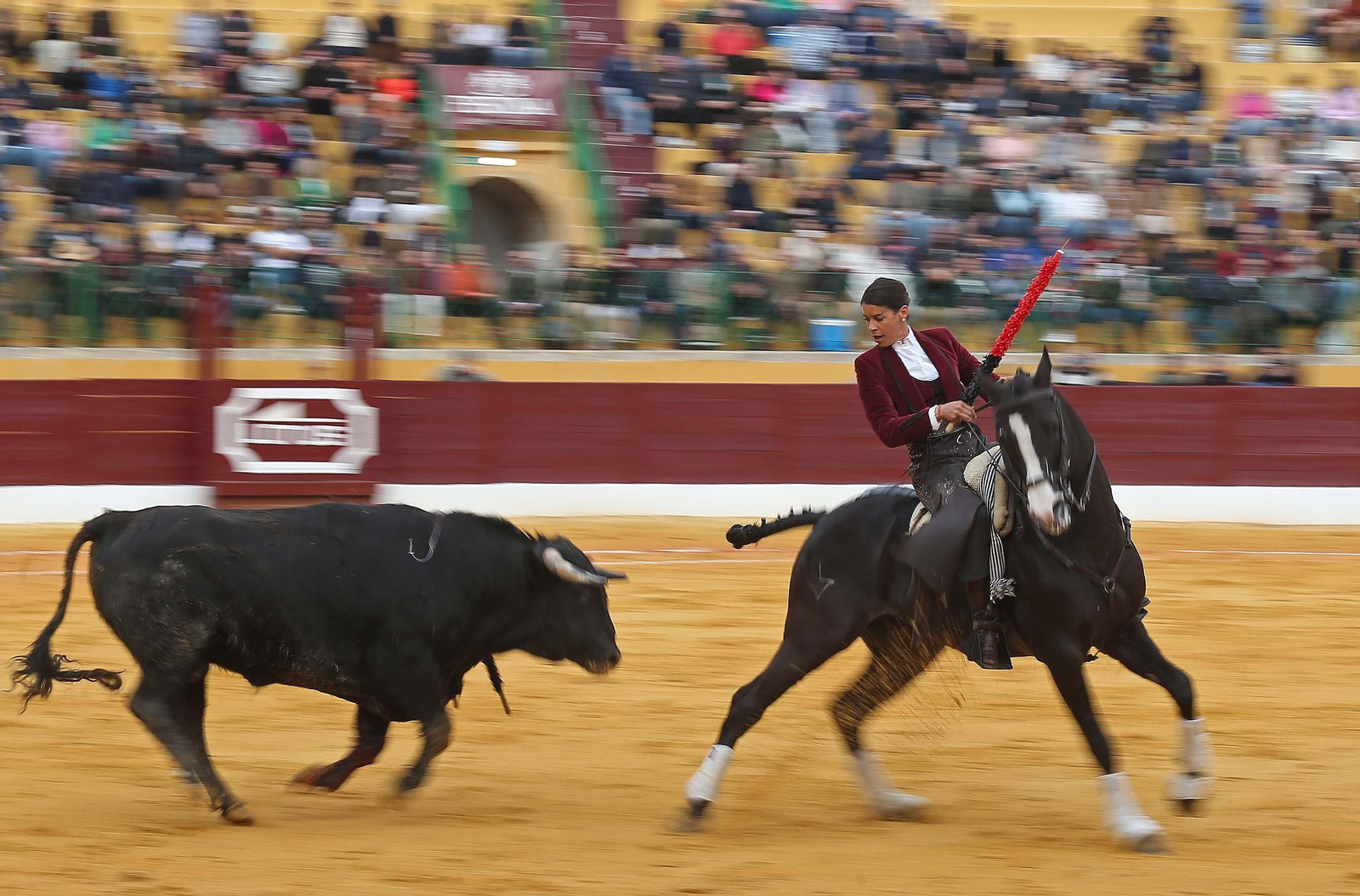 Fotos del festival taurino benéfico en La Línea