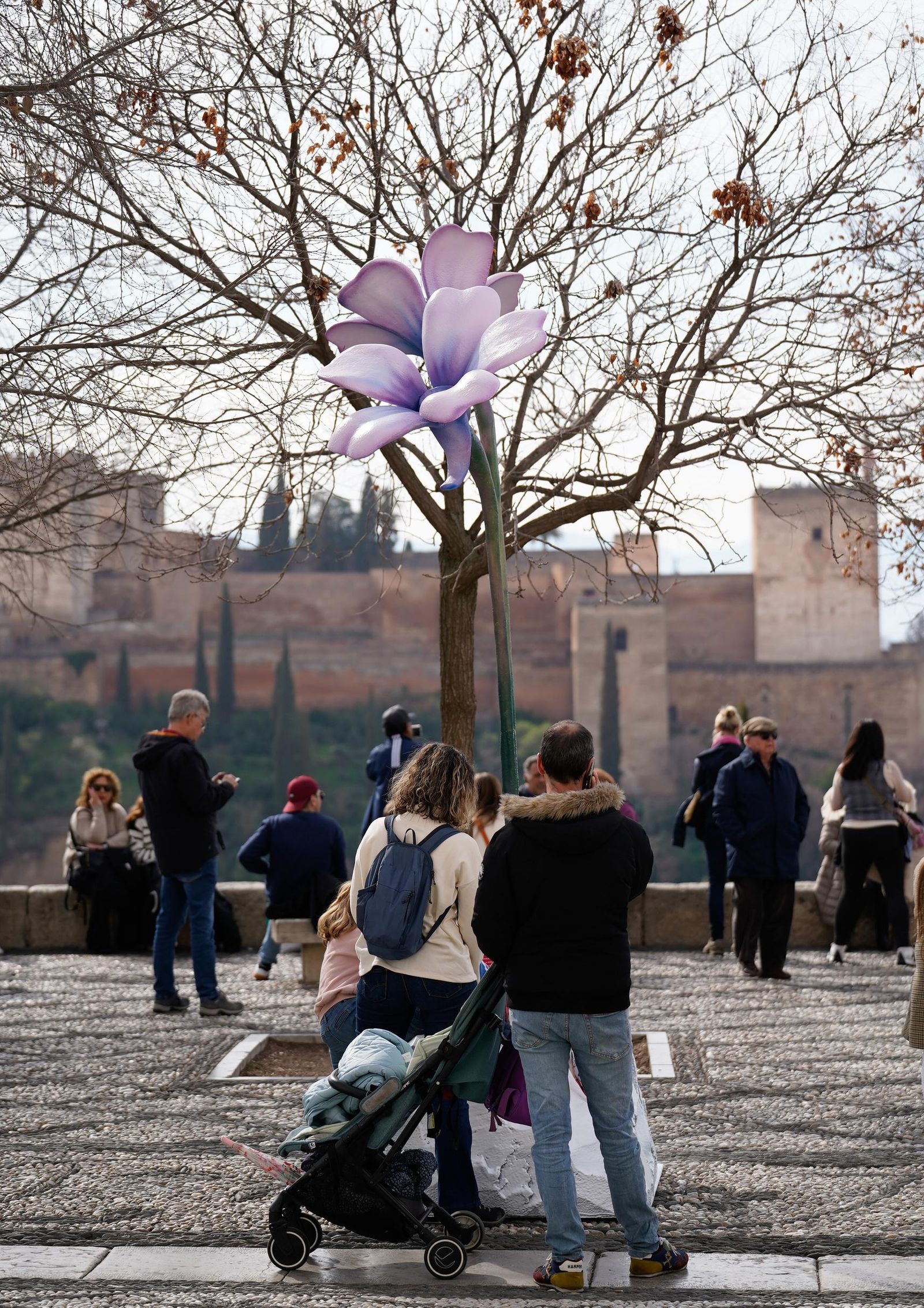 Los visitantes podrán conocer las especies con la Alhambra de fondo.